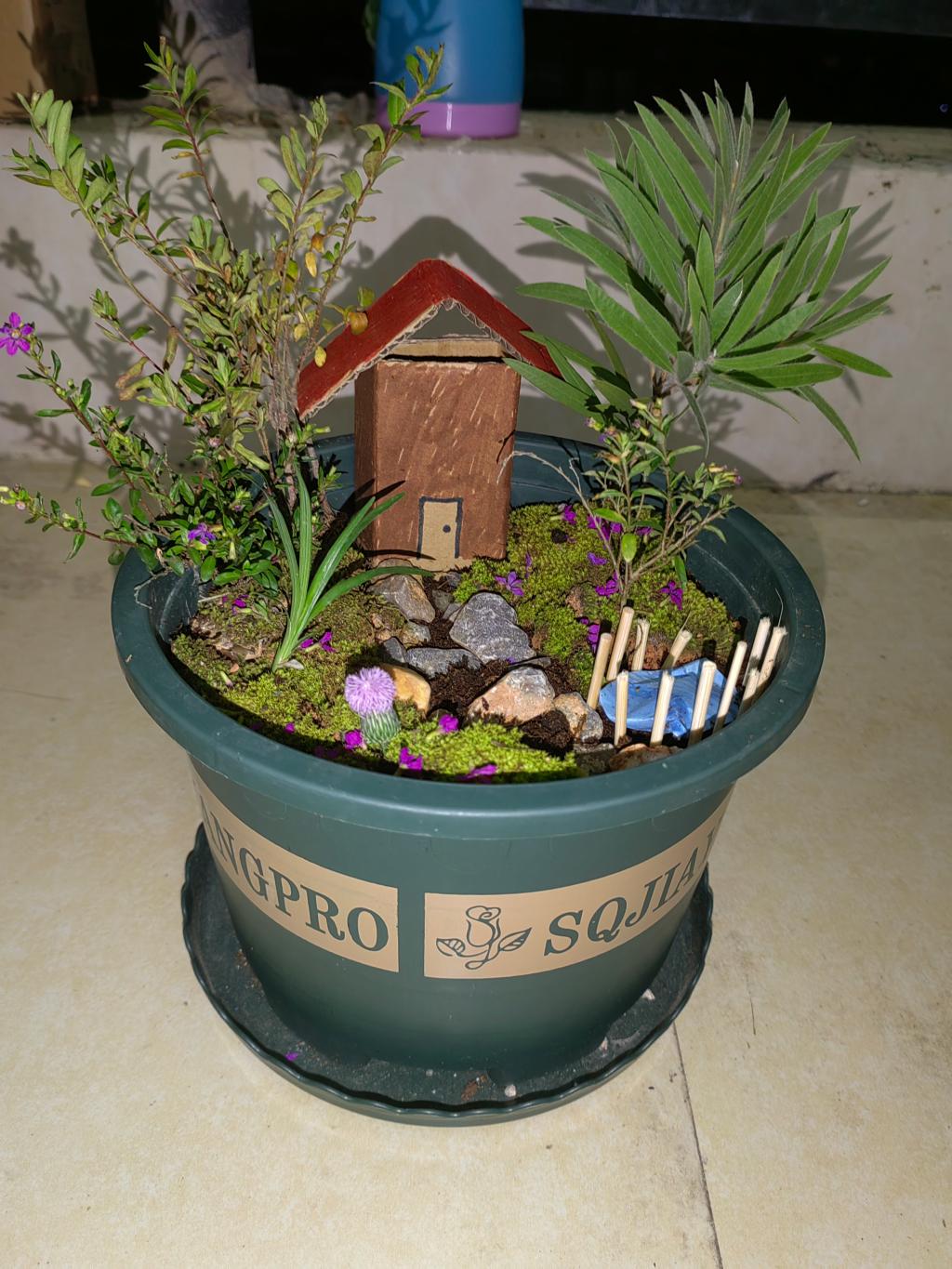 地理科学与规划学院开展智创微型景观凝聚生态共识地理微景观制作活动