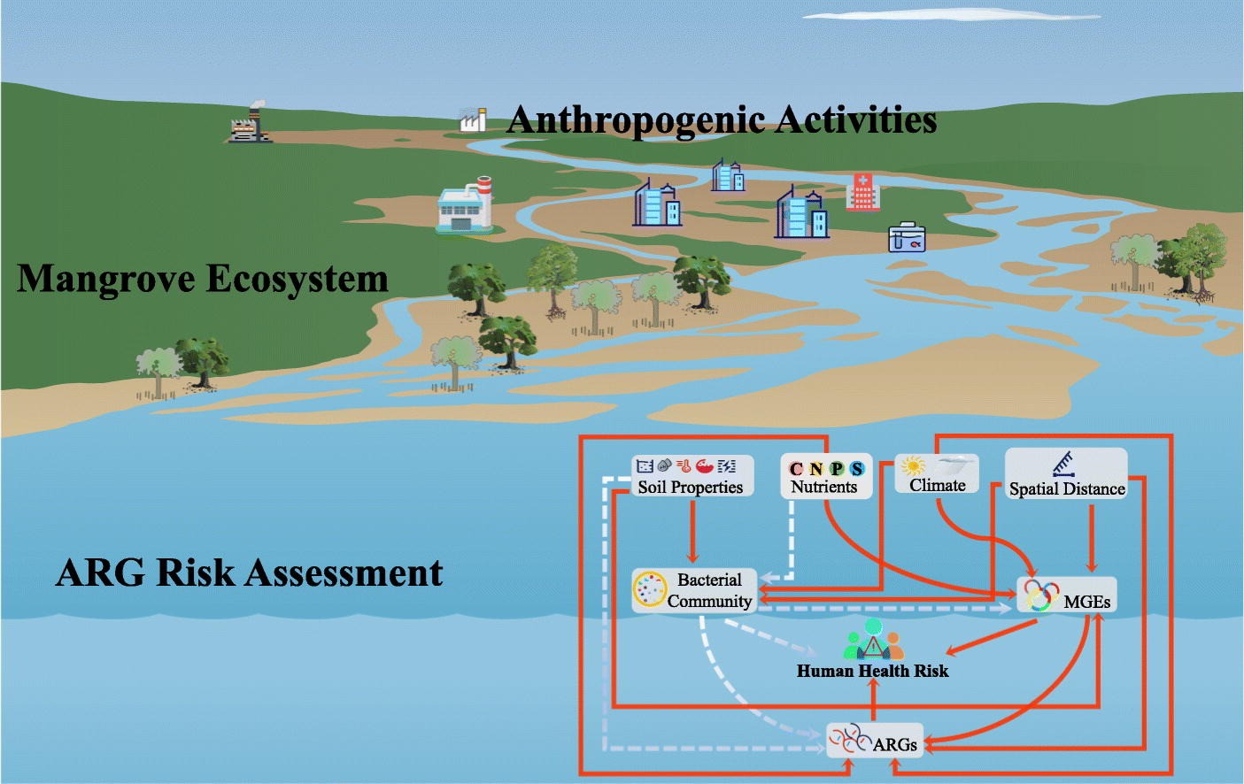 我校李楠教授团队在中国红树林新型污染物抗生素抗性基因组生物地理格局研究取得新成果