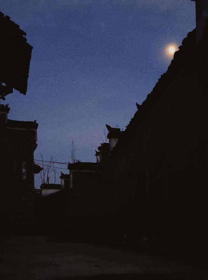 我校第六届易班网络文化节之摄影作品大赛圆满结束